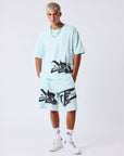 Short Flare