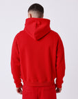 Sweat à capuche Polaris basique
