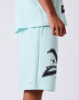 Short Flare